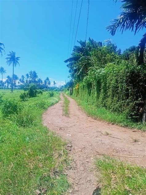 memorial lot for sale in naga|Memorial Lot for Sale in Naga Camarines Sur .